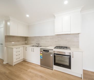 12B Stables Way, Port Macquarie NSW 2444 - House For Rent | Domain - Photo 3