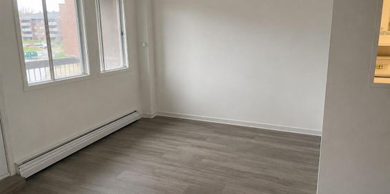 565 Rue De Pointe Gatineau (Gatineau) Très Beau Logement D’une Chambre à Coucher - Photo 3