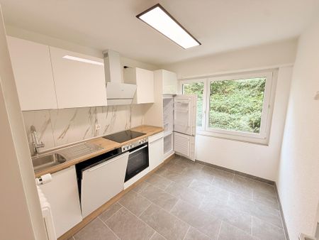 Frisch renovierte 4.5 Zimmer-Wohnung mit herrlicher Aussicht - Foto 5