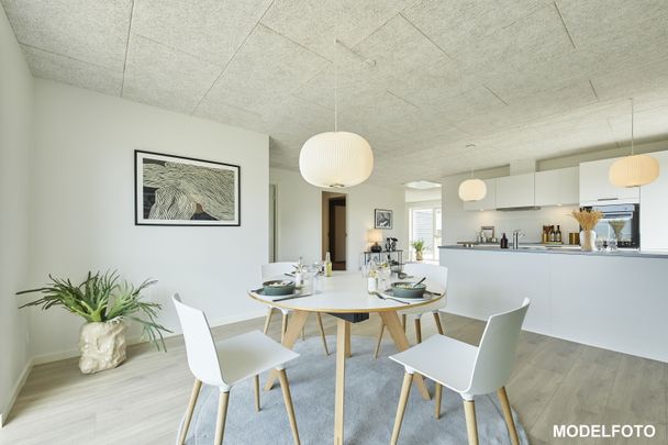 Søndermarken 284 - Photo 1