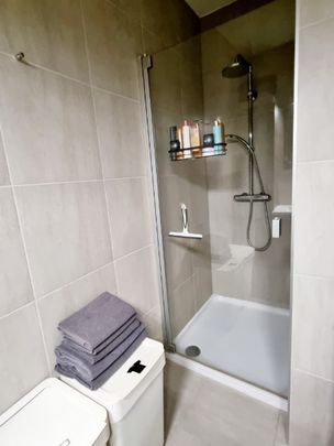 Centrum Lokeren - prachtig appartement! - Photo 1