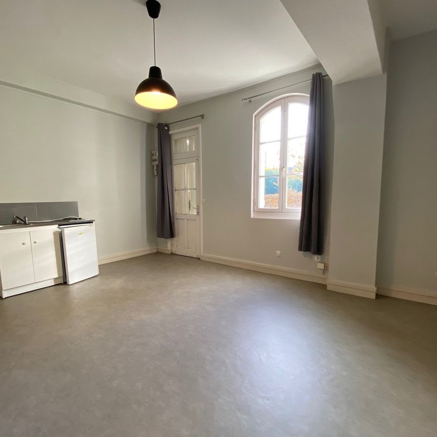 Location Appartement 1 pièce 25m² SAUMUR 49400 - Photo 1