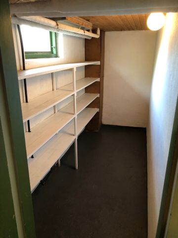 Kyrkliden, Larv - Foto 3