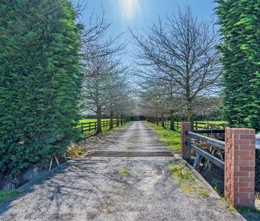 Rural paradise near Leeston - Photo 6