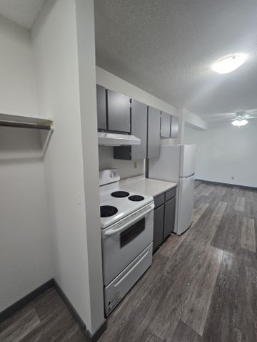 Spacious Two Bedroom unit on South Hill - Photo 3