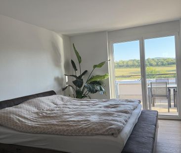 Endlich gefunden - ein Traum mit grosser Dachterrasse - Foto 4