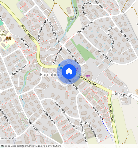 Zürichstrasse **, 8123, Ebmatingen