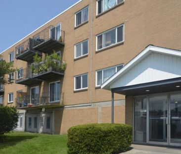 3 Dillman Place - Photo 5