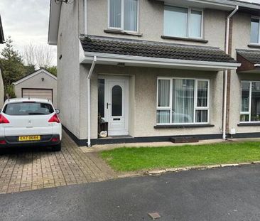 48 Edenvale, Limavady, BT49 0RF - Photo 6