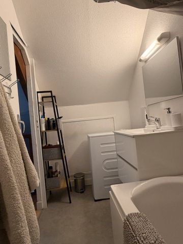 Location Appartement 1 pièce 33m² LILLE 59000 - Photo 2