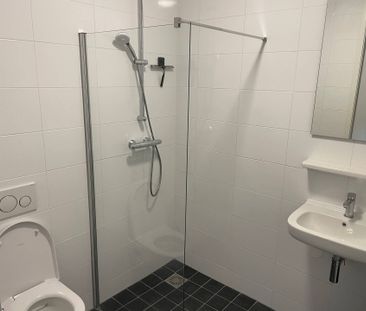 Hoge Rijndijk - Photo 6