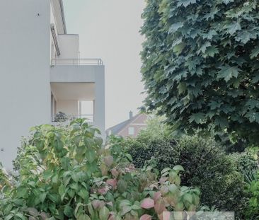 Traumhafte 3-Zimmer-Wohnung mit großer Dachterrasse in zentraler La... - Foto 2