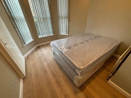 Great Apartment, 93a University Avenue, Queens Quarter, Belfast, BT7 1GX - Photo 5