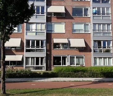 Appartement te huur: Plantageweg 19 3333 GZ Zwijndrecht - Photo 2