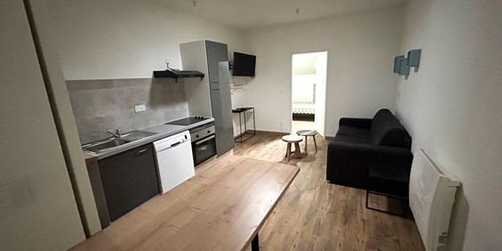 Location Appartement 2 pièces Meublé 36m² AIRE SUR L ADOUR 40800 - Photo 3