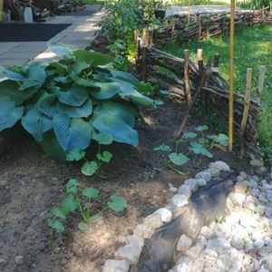 5 1/2 foyer tout inclus (wifi et hydro) terrain bordé d'un étang - Photo 2