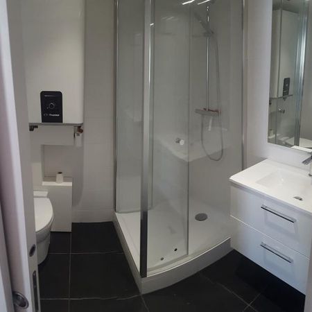 Location Appartement 1 pièce 30m² NANTES 44000 - Photo 3