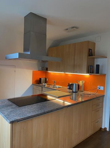 21/2-ROOM APARTMENT IN MUTTENZ (BL), FURNISHED, TEMPORARY - Photo 4