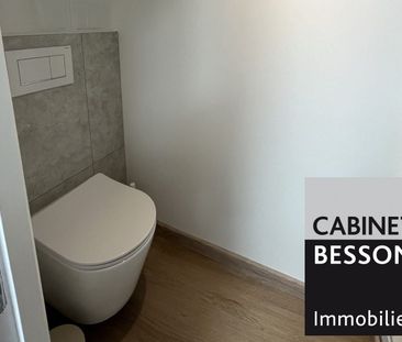 Location Appartement 1 pièce 15m² GRENOBLE 38000 - Photo 3
