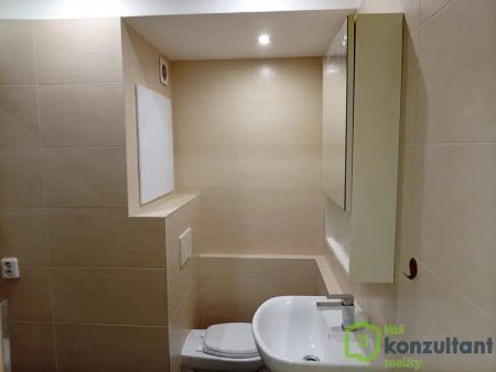 Neštěmice byt pronájem - Photo 5