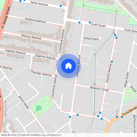 49A Lancaster Ave, NSW 2196, Punchbowl