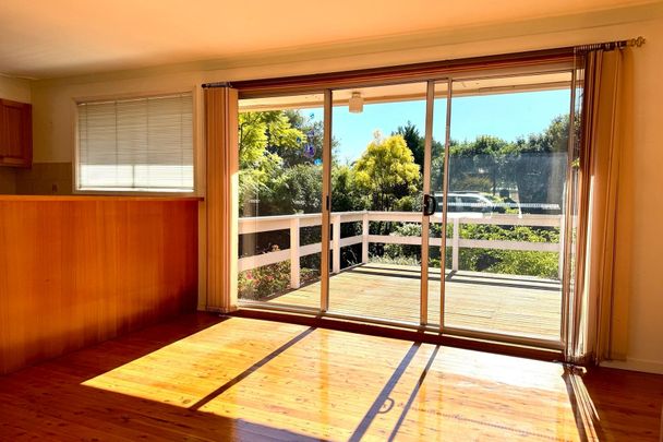 SUNFILLED FAMILY HOME WITHIN MATTHEW PEARCE CATCHMENT - Photo 1