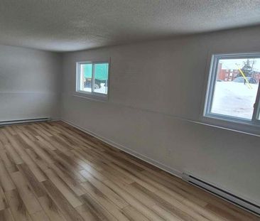 45 Rue Du Curé-André-Préseault (Gatineau) Grand Logement 2 Chambres - Photo 3