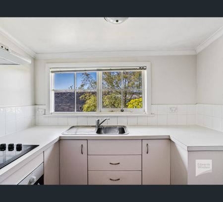 49 Church Street, North Hobart, Tas 7000 - Photo 2