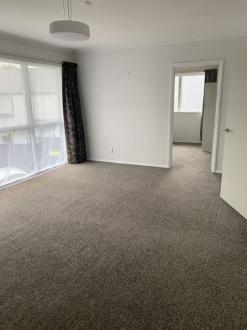 Merivale Unit Across The Road From Hagley Park - Photo 4