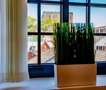 1 Bedrooms 1 Bathroom - Photo 6