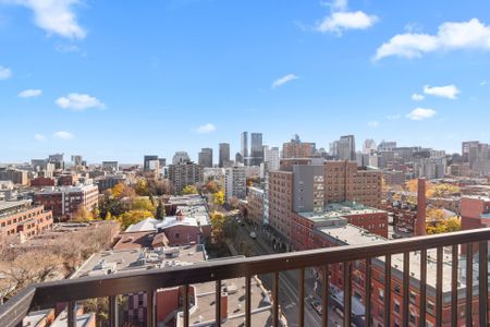 Condo for rent, Montréal (Le Plateau-Mont-Royal) - Photo 2