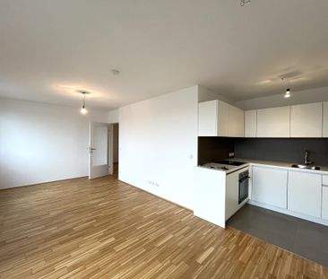 2-Zimmer-Neubauwohnung mit Terrasse in 1210 Wien zu mieten - Photo 4