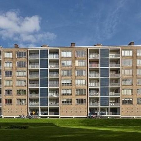 Van Alkemadelaan, 2597 AA Den Haag, Nederland - Foto 3
