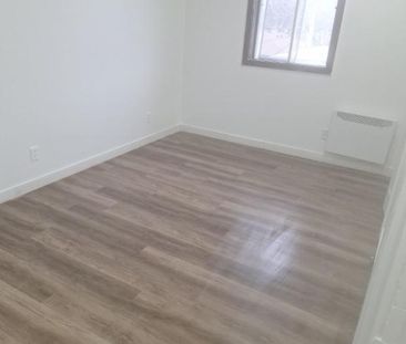 Grand 4 1/2 éclairé - Photo 3