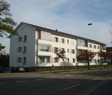 Zentrale und doch ruhige Wohnlage - Photo 3