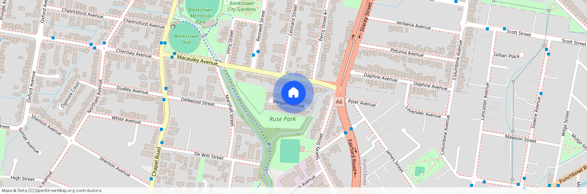 23 Megan Ave, NSW 2200, Bankstown