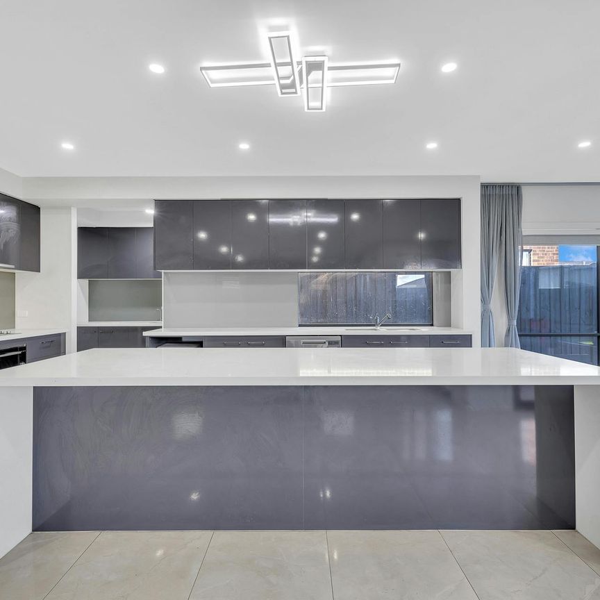 LUXURY FAMILY LIVING | CARLISLE Built 50 sqrs | 4 BEDROOMS + 4 ENSUITES + MULTIPLE LIVING SPACES - Photo 1