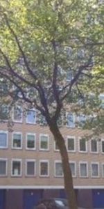 Van Nijenrodeweg, 1083 EA Amsterdam, Nederland - Photo 3