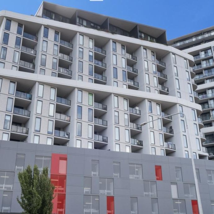 404/8 Gribble Street, Gungahlin ACT 2912 - Apartment For Rent | Domain - Photo 1