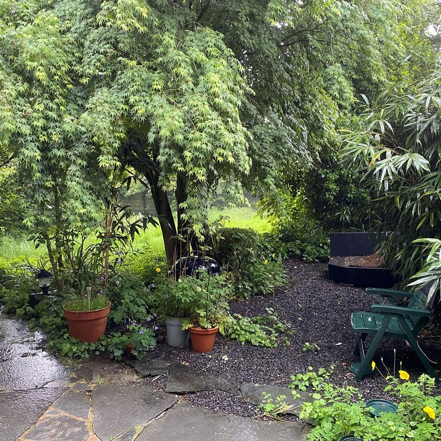 Mooie grote kamer te huur met groene straat uitzicht - Foto 1