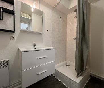 STUDIO MEUBLÉ LYON 7 - 1 PIECE - 18.2 m2 - REFAIT Lyon (69007) - Photo 2