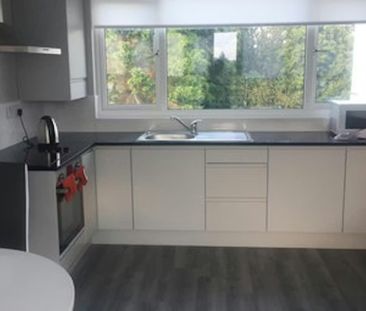 The Rise, Dublin - Photo 4