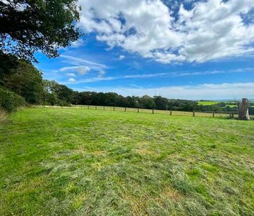 Labbacombe Upcott, Dowland, Winkleigh, EX19 - Photo 6