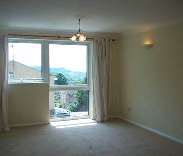 Hawthorn Road, Hastings - Photo 4