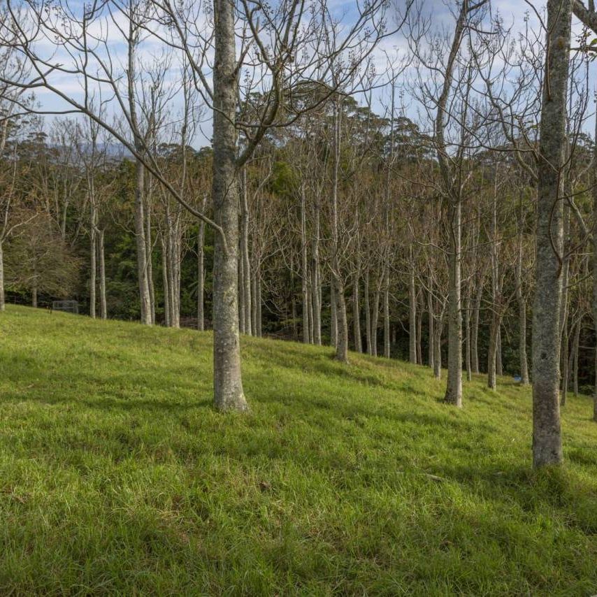 Rural Living with Ocean Views - Photo 1