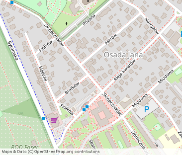 Mieszkanie do Wynajęcia/ Osada Jana - Фото 1