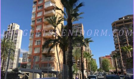 REF. 1754-Benidorm-925€ - Photo 4