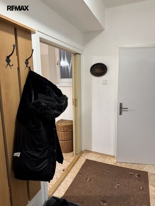 Pronájem bytu 1+1 40 m² - Fotografie 1