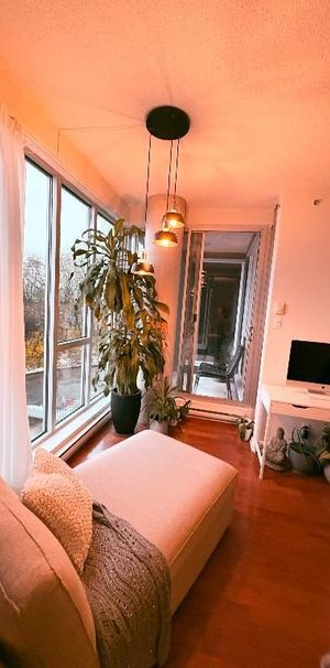 Colocation - chambre a louer - Photo 1