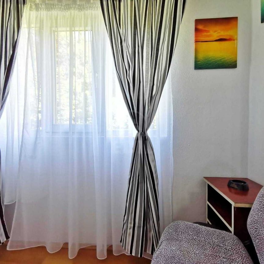 Apartament de Închiriere o camera, APCJ360303 - Photo 1